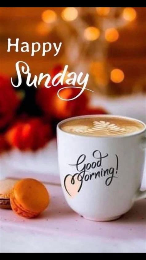 Collection Of Over 999 High Quality Good Morning Happy Sunday Hd Images