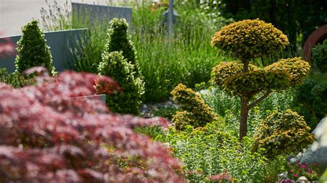 Wir verkaufen unseren gepflegten garten in kloster lehnin, kleingartenverein klostergrund e.v. planen - Blattwerk Gartengestaltung GmbH - Böblinger ...