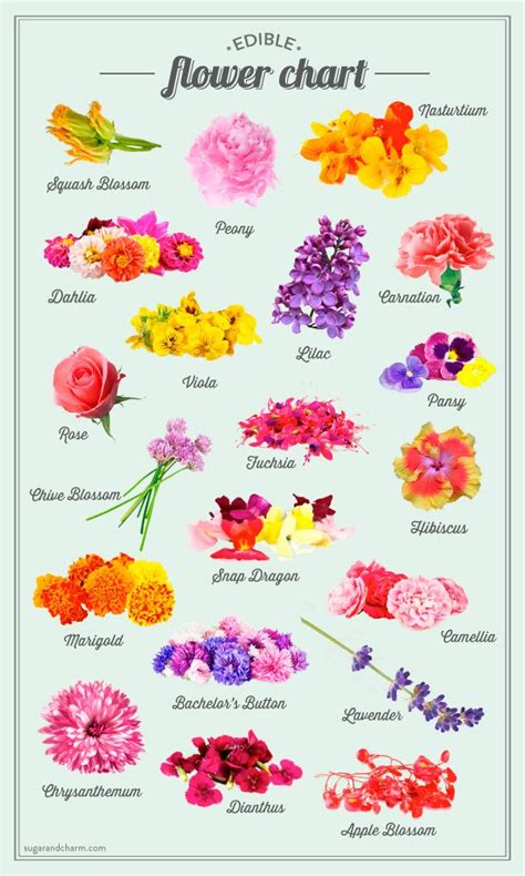It's your favorite brunch cocktail in a frozen treat! Sugar and Charm's Edible Flower Chart | Flower chart ...