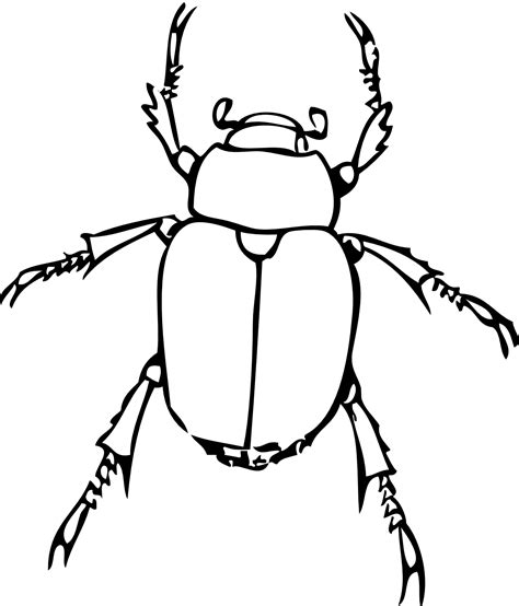 Free Beetle Clipart Black And White Download Free Beetle Clipart Black