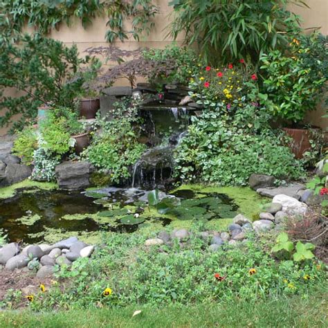 30 Outdoor Goldfish Pond Design Ideas Pond Informer