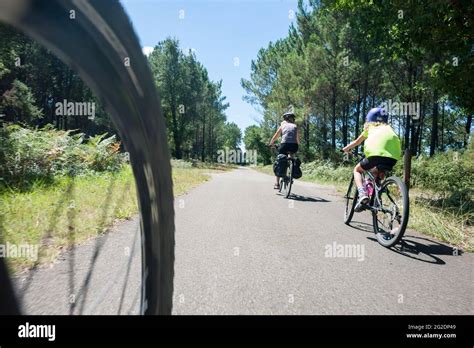 A family cycle through nature in rural france and explore the landscape