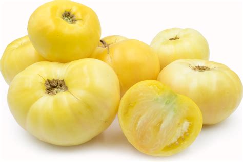 Great White Heirloom Tomatoes Information Recipes And Facts