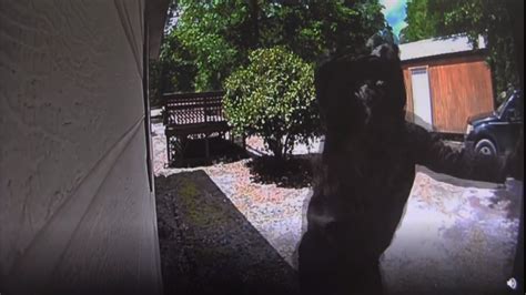 Deputies Suspects Caught On Doorbell Camera Trying To Break Into Home Wach