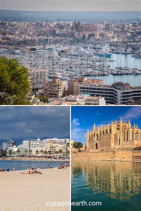 Dove Alloggiare A Palma Di Maiorca 10 Migliori Zone Hotel 2023