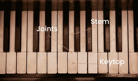 What Are Piano Keys Made Of A Complete Guide