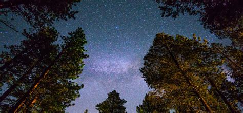 Cancer, from sunday, august 1st until tuesday, december 21st, 2021, you have ceres in gemini and the inner life (the private soul you possess, or the spiritual side of your personality) is at the heart of some really long changes. July 2020 Wellness Horoscopes for Summer Fun | HUM ...