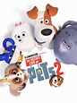 The Secret Life of Pets 2 | Movies Under The Stars