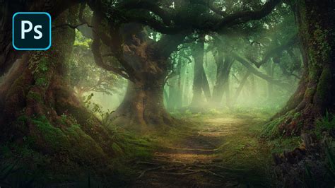 Fantasy Forest Environment Photoshop Speedart Timelapse Youtube