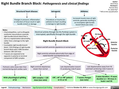 Right Bundle Branch Block Pathogenesis And Clinical Findings Calgary
