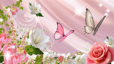 68 Butterfly And Flower Wallpaper Wallpapersafari
