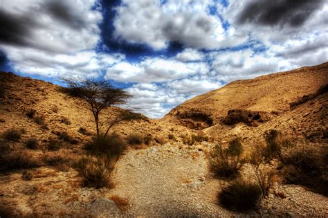 Israels Top 5 Nature Reserves For Photography