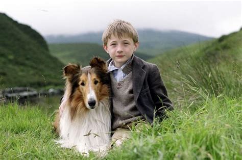 Dreamworks Animation Grooming Lassie For A Return To The Spotlight