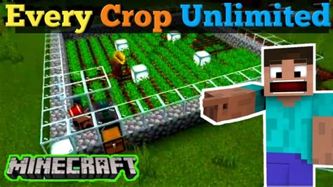 Killer Crop Farm In Minecraft Crop Farm Minecraft Automatic Crop