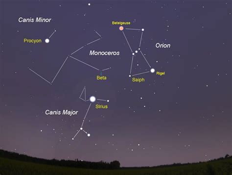 Canis Major And Canis Minor Cinturón De Orión Constelaciones
