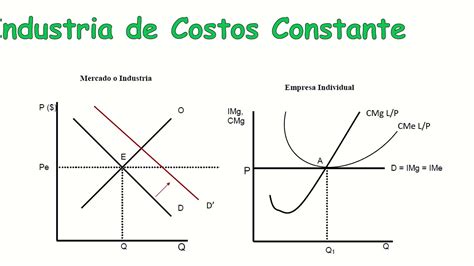 Industria De Costos Contantes Crecientes Decrecientes Microeconomía