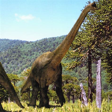 Brachiosaurus Walking With Wikis The Free Walking With Encyclopedia