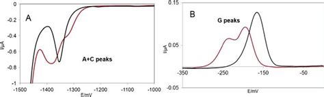 Cathodic A And Anodic B Parts Of Cyclic Voltammogram For DNA Red Download Scientific