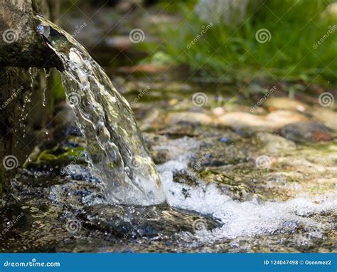 787890 Natural Spring Water Stock Photos Free And Royalty Free Stock