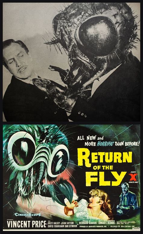 Return Of The Fly Science Fiction Film Science Fiction Movies