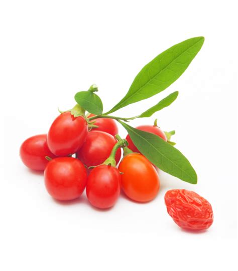 How Does Goji Berry Traditionally Consume Natural Organic Living