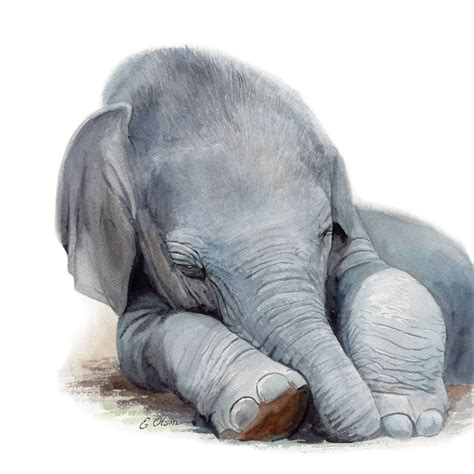 Baby Elephant Gray Paint Color Lowtopyellowvans