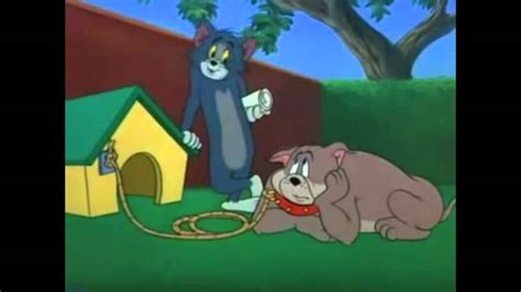 Play the latest tom and jerry games for free at cartoon network. Tom and Jerry Parody 2013 - YouTube