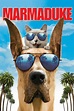 Marmaduke (2010) - Posters — The Movie Database (TMDB)