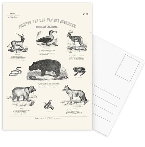 Animals Chart Postcard Set Juniqe