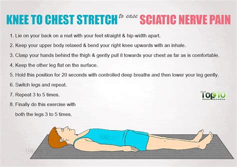 Back Pain Relief Period Sciatic Nerve Strengthening Exercises Gym