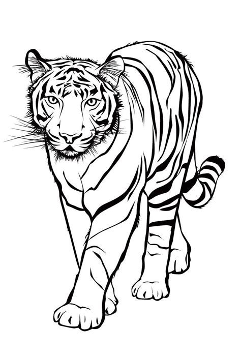 Ausmalbilder Malvorlagen Tiger kostenlos zum Ausdrucken Märchen