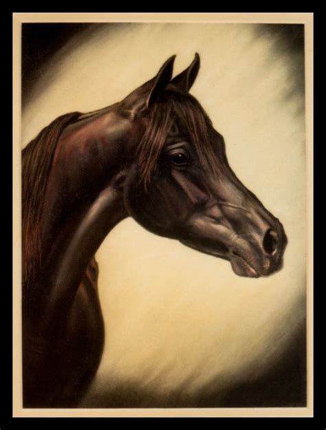 Black Arabian Stallion In Pastels By Laurel Uhlig Horse Painting