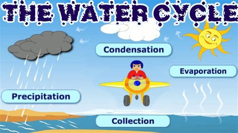 Nasa satellites orbiting earth right now are helping us to understand. The Water Cycle Diagrams | 101 Diagrams