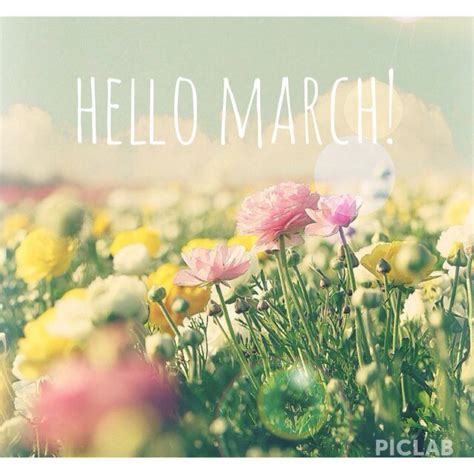 Hello March Must Bepink