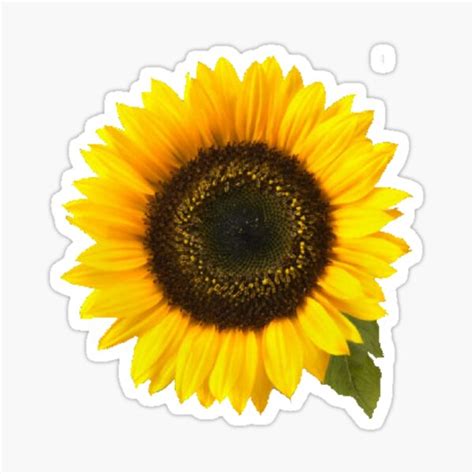 Giant Sunflower Stickers Redbubble