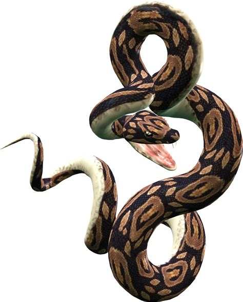 775 x 776 png 211 кб. Dangerous Snake PNG Image - PurePNG | Free transparent CC0 ...