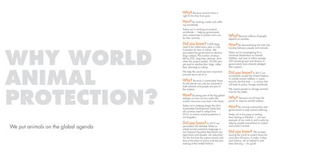 World Animal Protection Annual Report 2015 On Behance