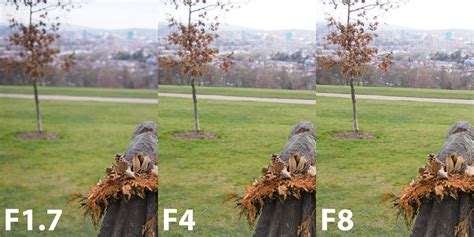 Beginners Guide To Exposure Aperture Shutter Iso And Metering