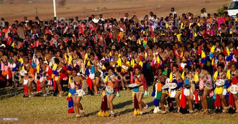 Women In Traditional Costumes Dancing At The Umhlanga Aka Reed Dance For Their King 01092013
