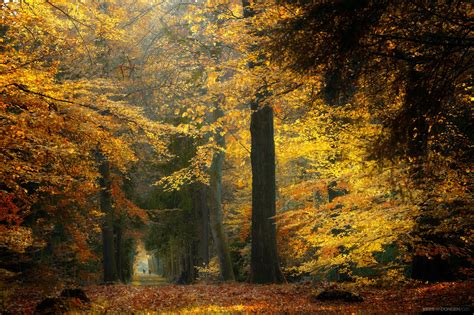 Photography Fall Hd Wallpaper Background Image 2048x1365