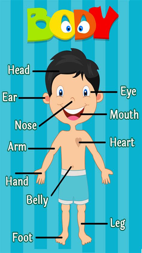 Human Body Parts Names In English With Pictures 7esl Images