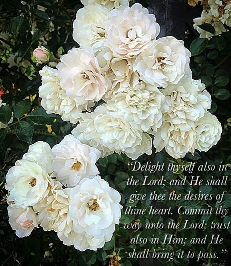 Pin On Flowers Bible Verses
