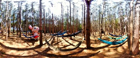 Electric Forest Panoramas Inflatabill