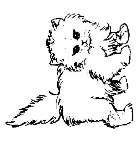 Color these cute beings with our free printable kitten coloring pages. Cat Coloring Pages - Coloringpages1001.com