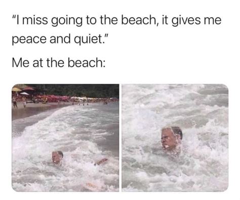 Grab Your Bikinis Its Beach Meme Season 32 Photos