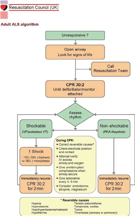 Adult Basic Life Support Algorithm For Health Care Providers