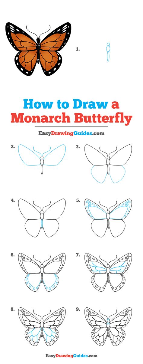 learn how to draw a butterfly easy coloring pages for