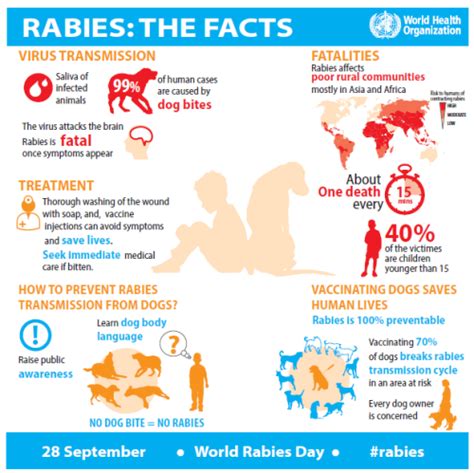 Whos New Global Framework How To Eliminate Rabies Dailyrounds
