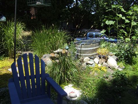 Developmental Disabilities Exchange: Therapeutic Gardens