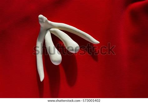 Photo De Stock 3d Printed Female Sex Organ Clitoris 573001402 Shutterstock